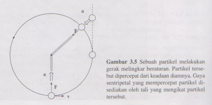 Pengertian Rumus Dan Contoh Percepatan Dan Gaya Sentripetal Terlengkap