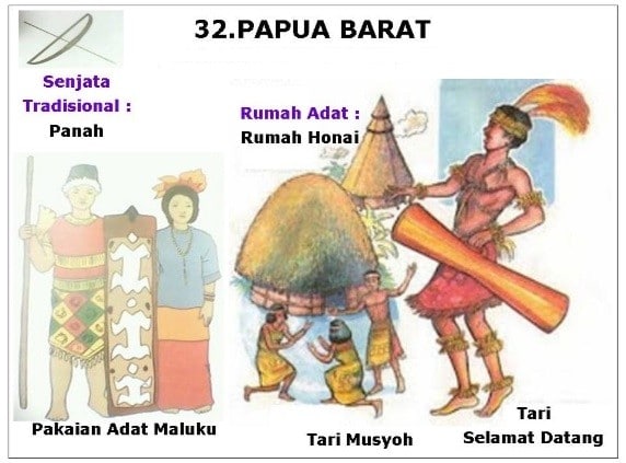 Rumah Adat Provinsi Papua Vrogue Co