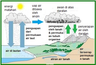 Macam-macam Daur Biogeokimia Beserta Proses Dan Gambar