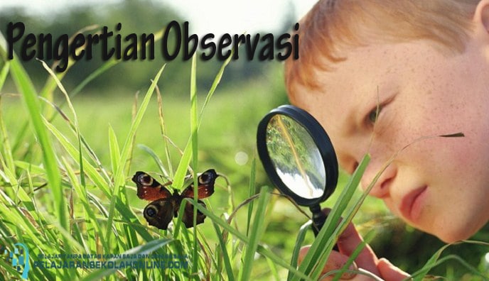 17 Pengertian Observasi dan Jenis Jenis Observasi Menurut 