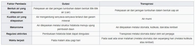 Pengertian, Proses dan Perbedaan Transpirasi dan Gutasi Pada Tumbuhan